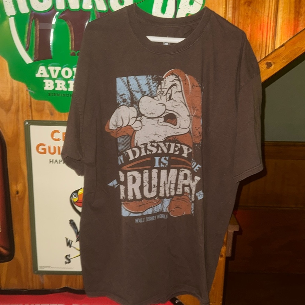 Disneyland Resort 2XL Brown Grumpy Tshirt